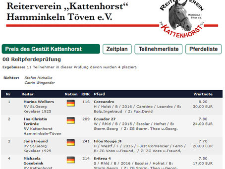 Coreandro gewinnt Reitpferdeprüfung