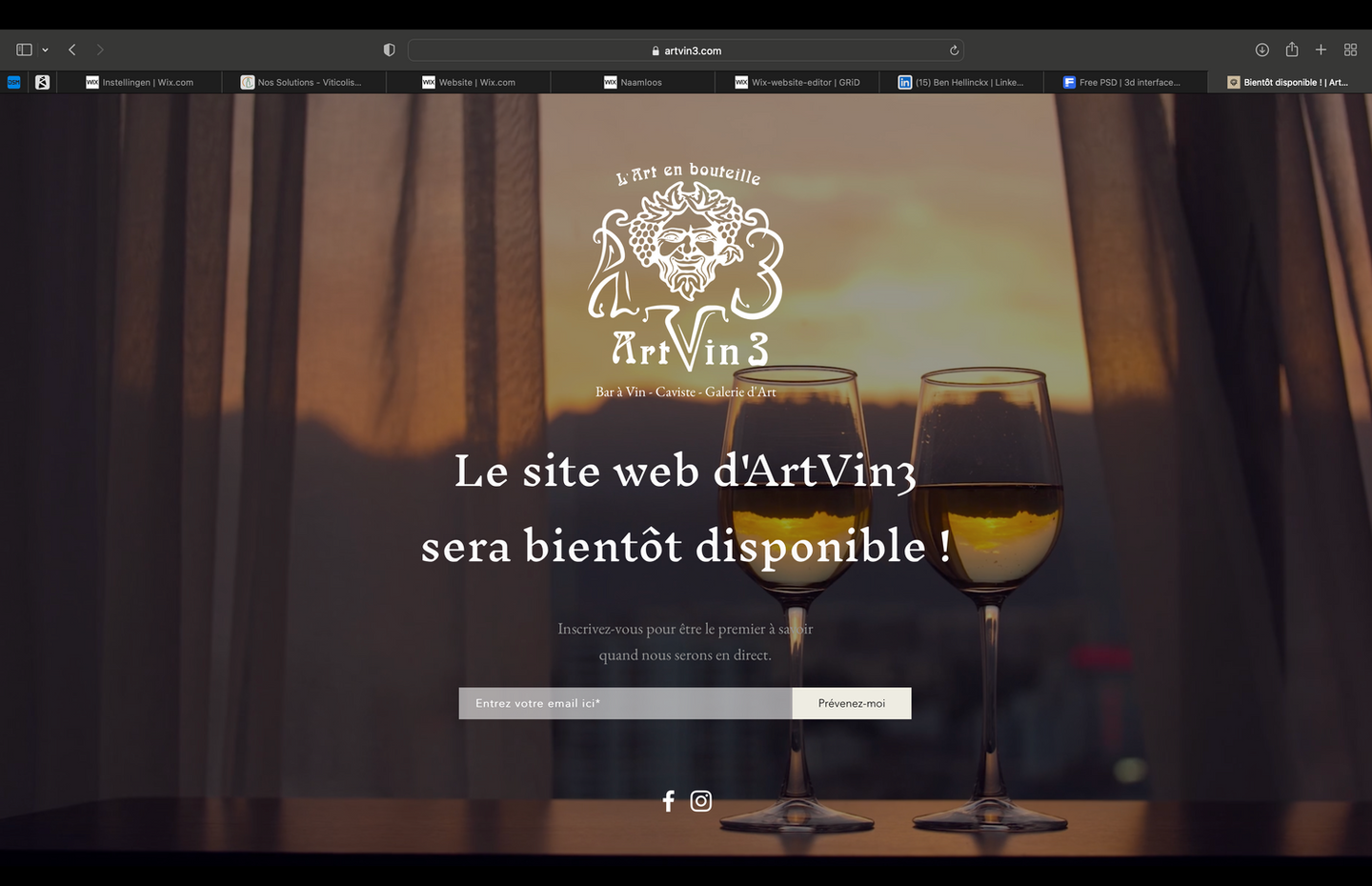 Screenshot of the coming soon page which was presented before the opening of the bar ArtVin3.