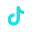 tiktok logo