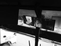 19749802_874880699331829_1233717173_o