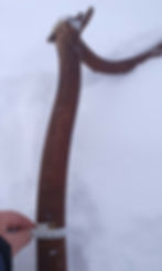 Thumbnail: Reindeer horn, male.