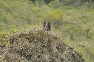 DSC_0087.JPG