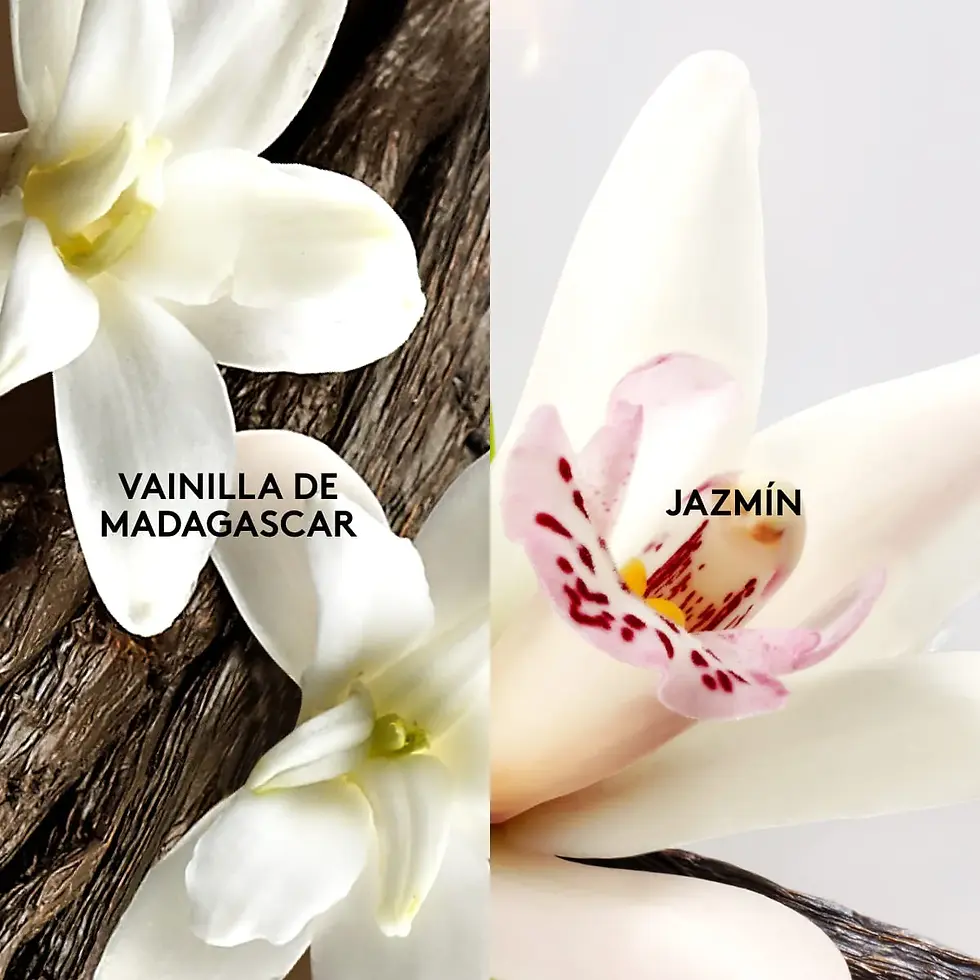 Miniatura: Esika Crema Manos Vainilla y Jazmin 75 g