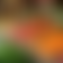 Exploring the Health Benefits of Regular Visits to Your Local Farmer's Market