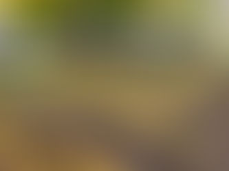 Gemeinsam für unsere Schule – Herbstputz im Schulgarten