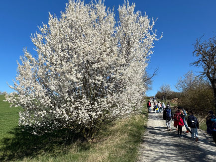 Stadt-Land-Ferienspaß :)