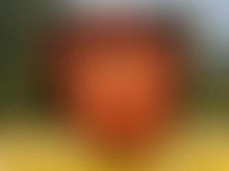 Die Geschichte vom fliegenden Robert