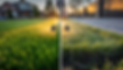 Weed Control.png