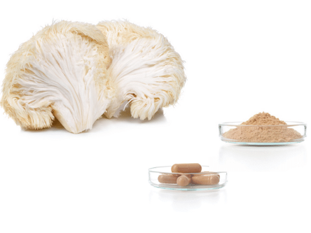Lions Mane Benefits