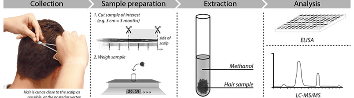 Overview of hair sample collection and analysis