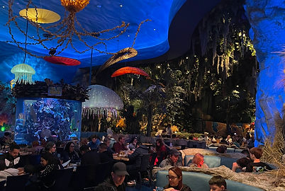 Rainforest Cafe