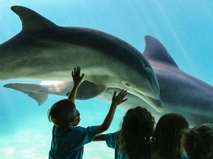 The creativity and wonder of God's creat