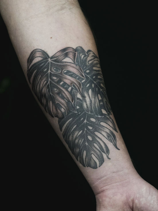 Realistisches, dunkles Monstera Tattoo auf einem männlichen inneren Unterarm vor einem schwarzen Hintergrund