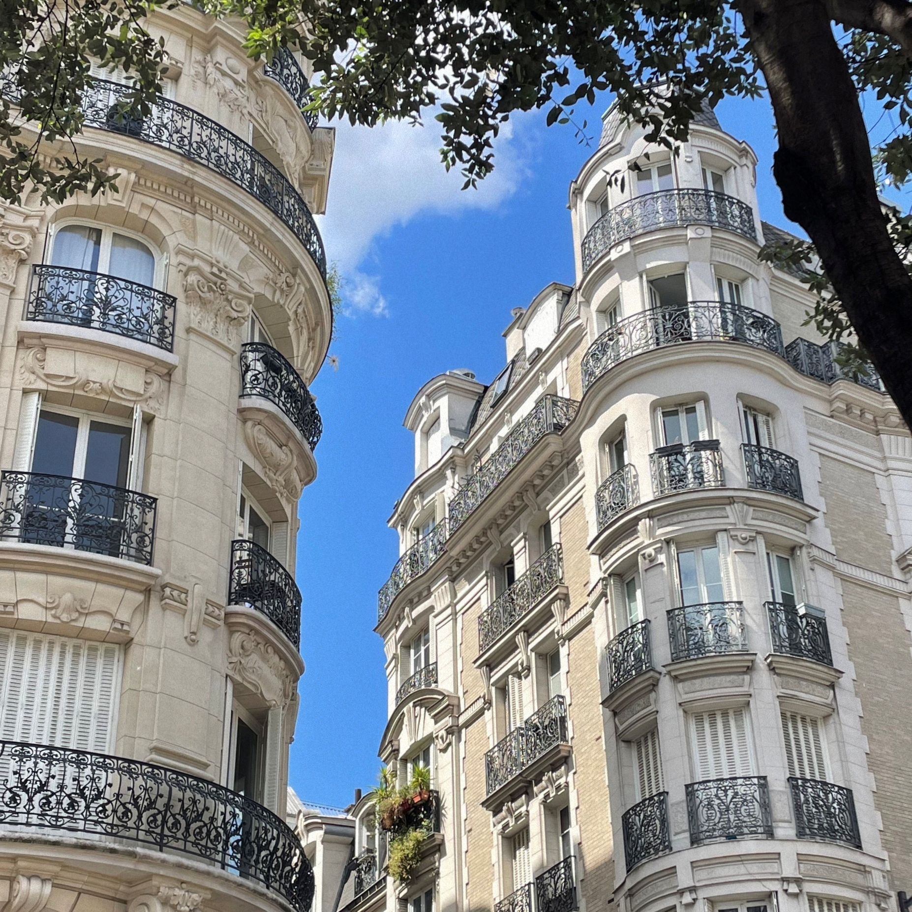 Rupture brutale des relations commerciales établies en Haute-Savoie : guide juridique avocat droit commercial 2026
