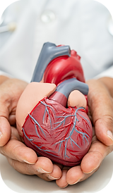 Evaluación integral del corazón