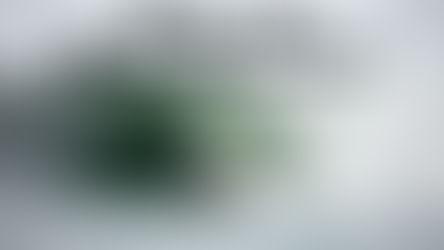 Bodyboard Barrel Riding Explained