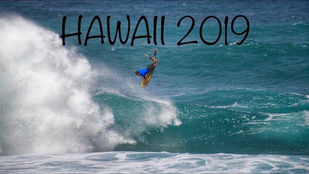 Hawaii 2019: What Happened? | Vlog 20