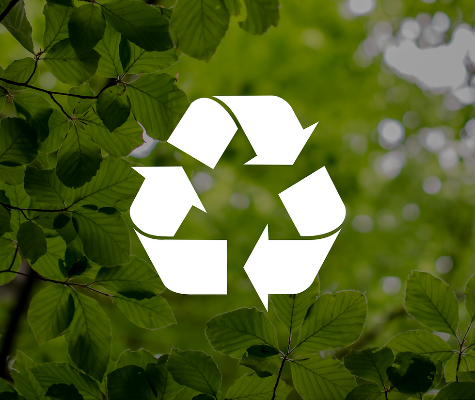 Eco-friendly, sustainable approach