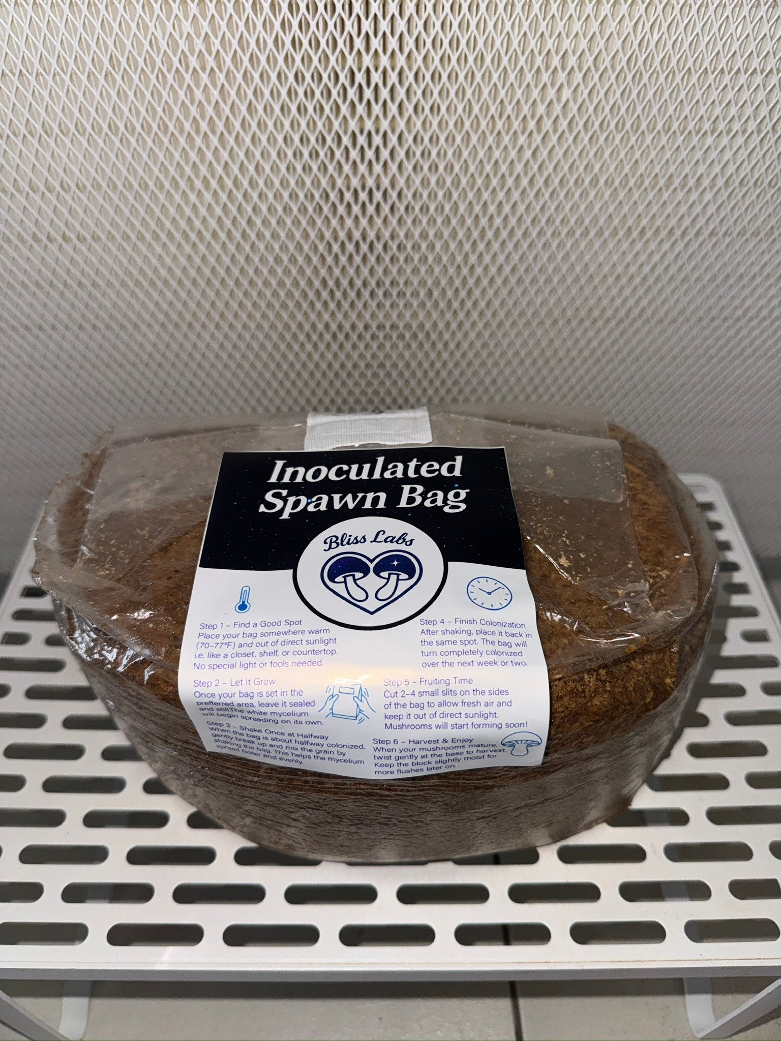 Freshly Inoculated Spawn Bag
