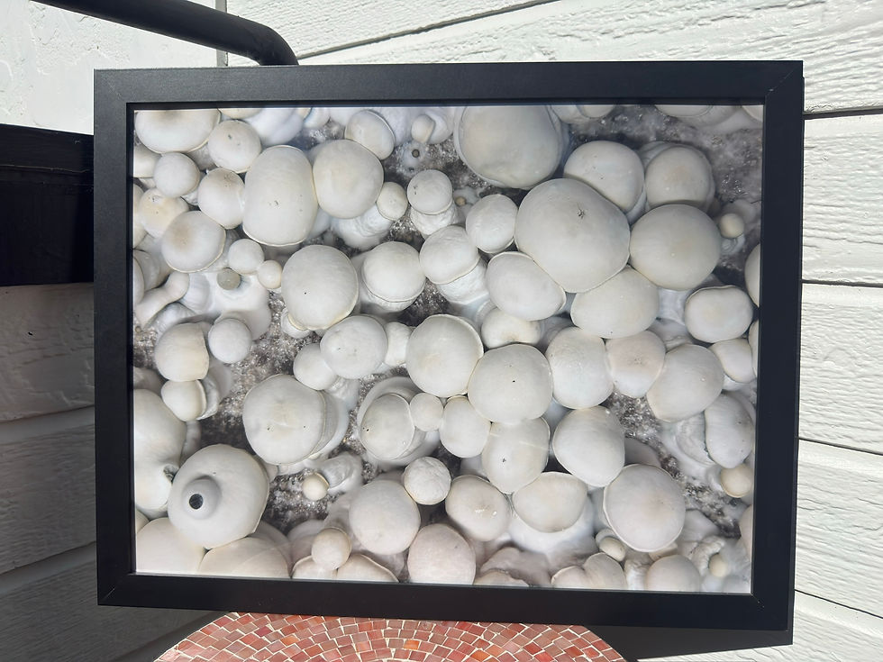 Thumbnail: Research Print