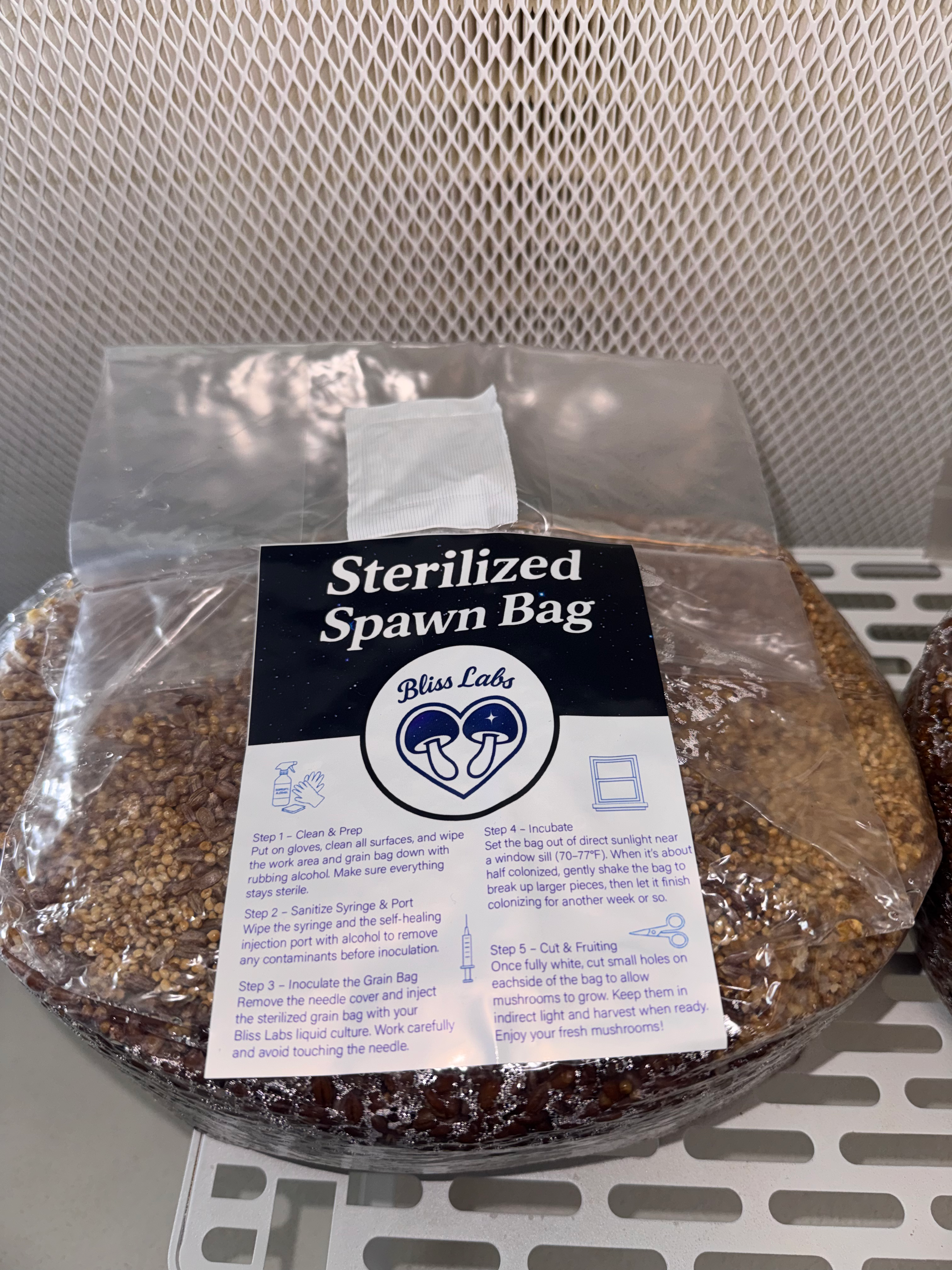 Sterilized Spawn Bag - Rye and Millet Mix