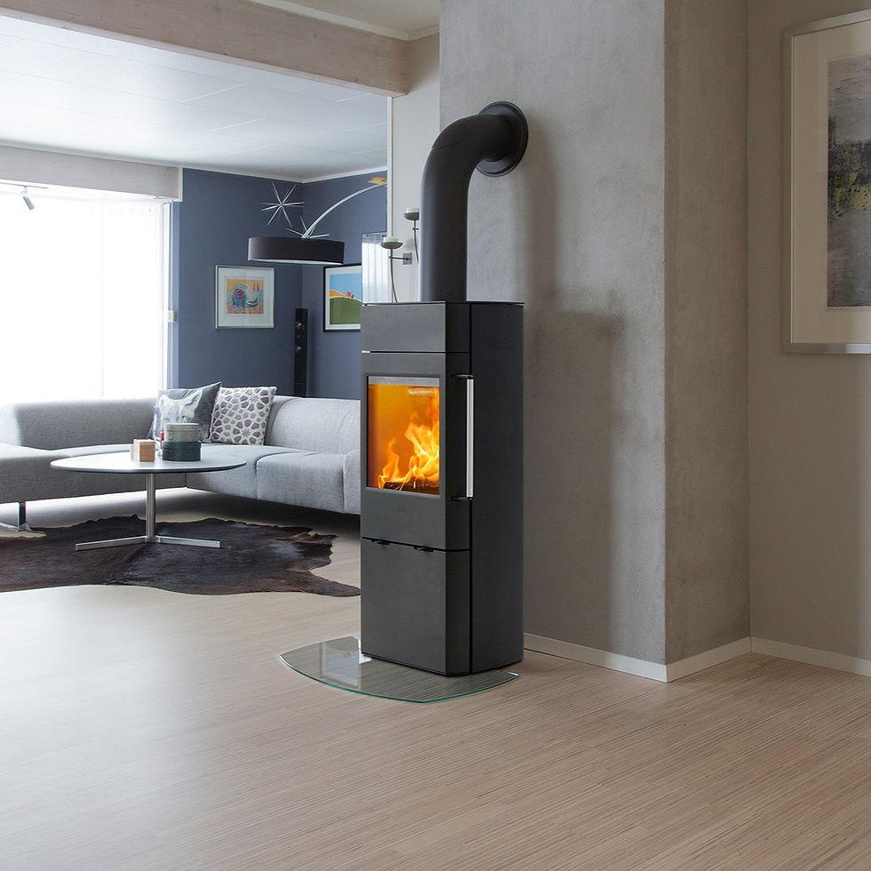 Scan 41-1 wood burning stove in a modern living room