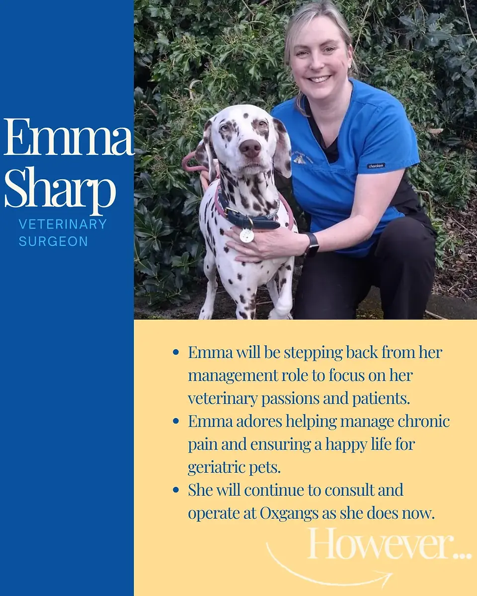 Emma Sharp, Veterinary Surgeon, with a Dalmatian dog.