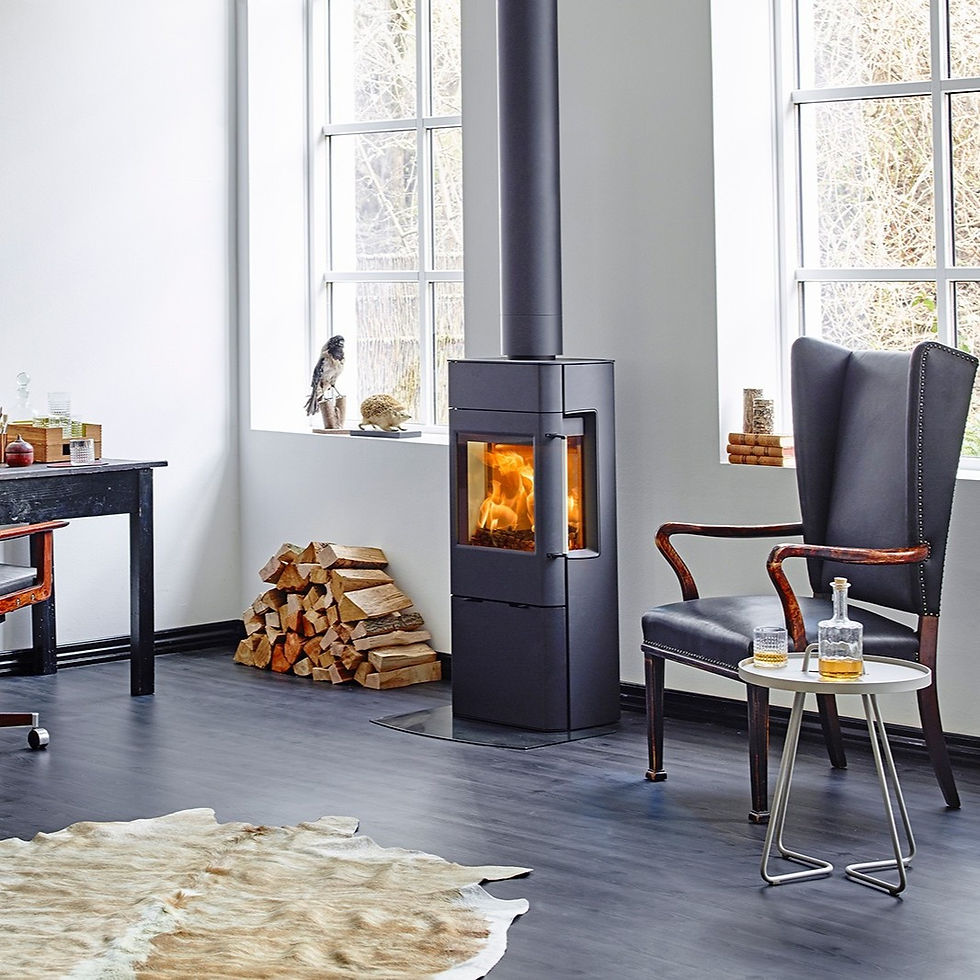 Scan 41-2 wood burning stove with side glass in a room