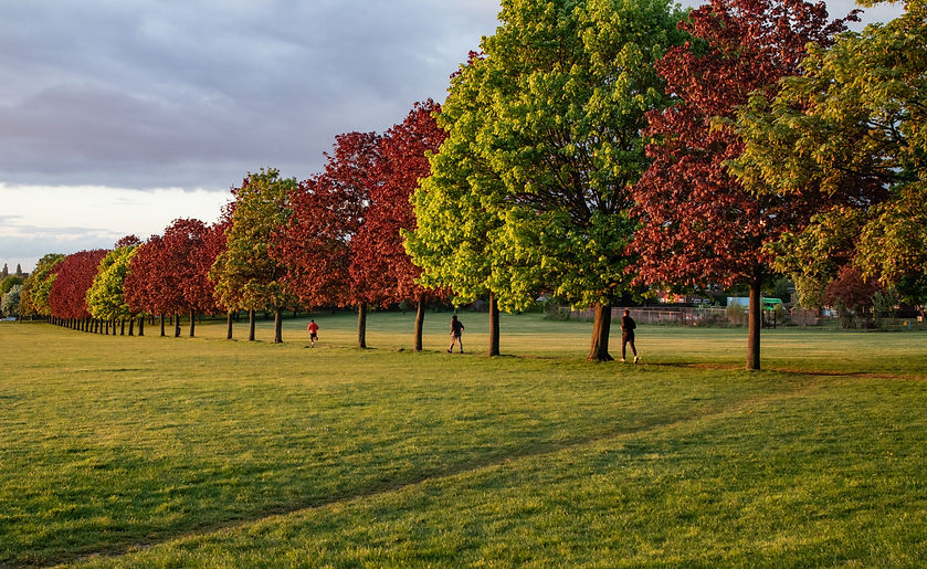 Park in London