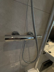 Shower with chrome mixer and hose