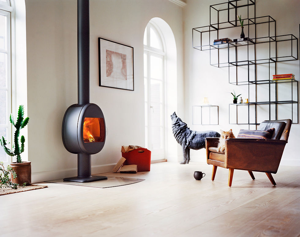 Scan 66-2 wood burning stove on stand in a modern living room