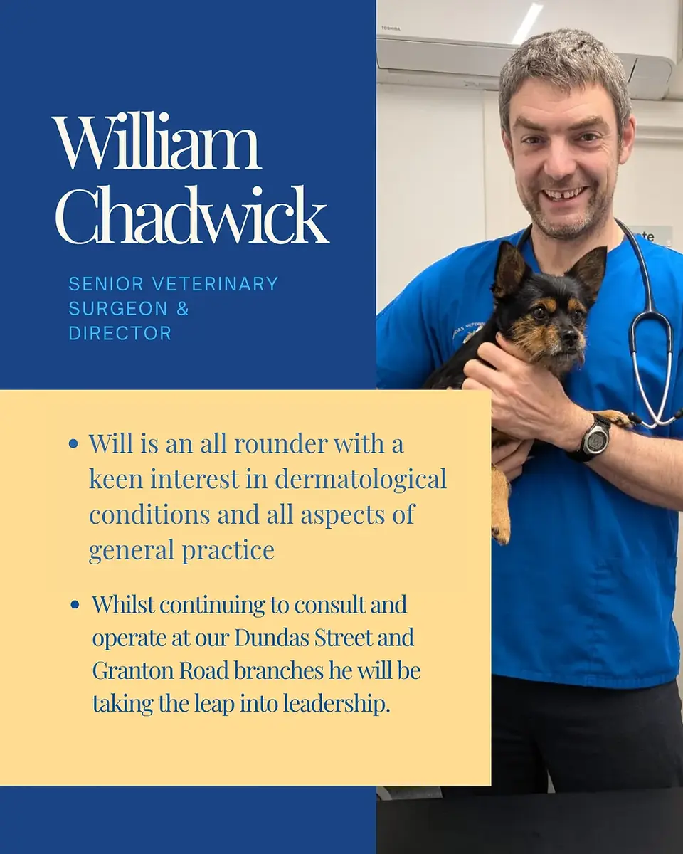 William Chadwick, Senior Veterinary Surgeon & Director, holding a small dog.