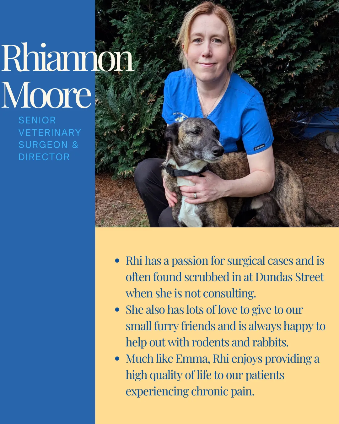 Rhiannon Moore, Senior Veterinary Surgeon & Director, with a dog.