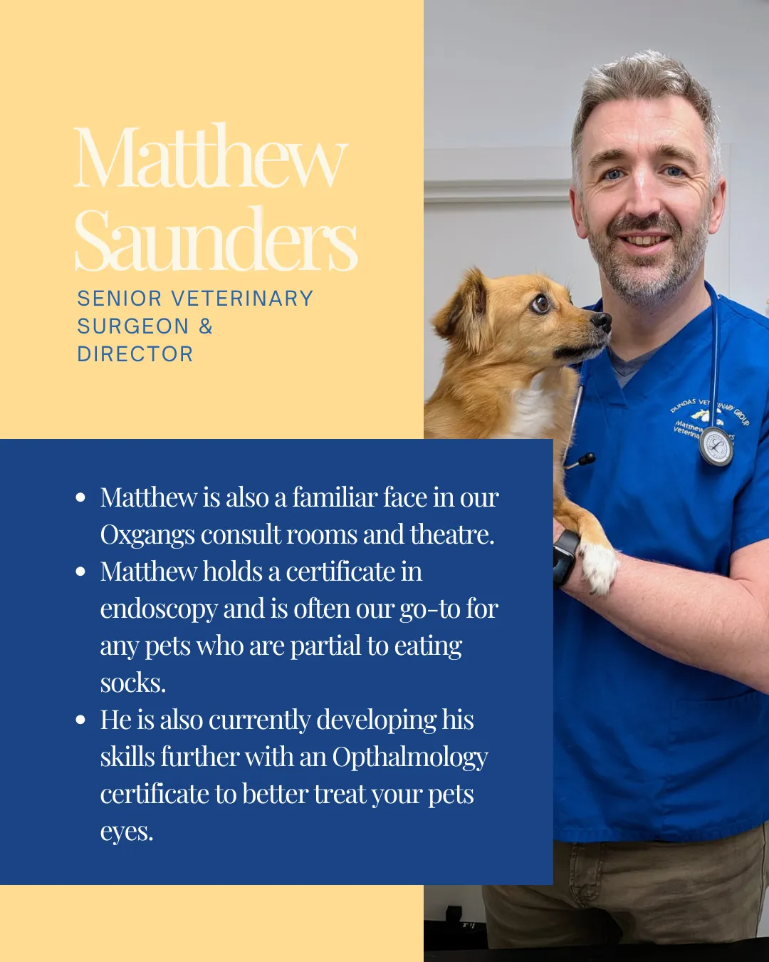 Matthew Saunders, Senior Veterinary Surgeon holding a dog