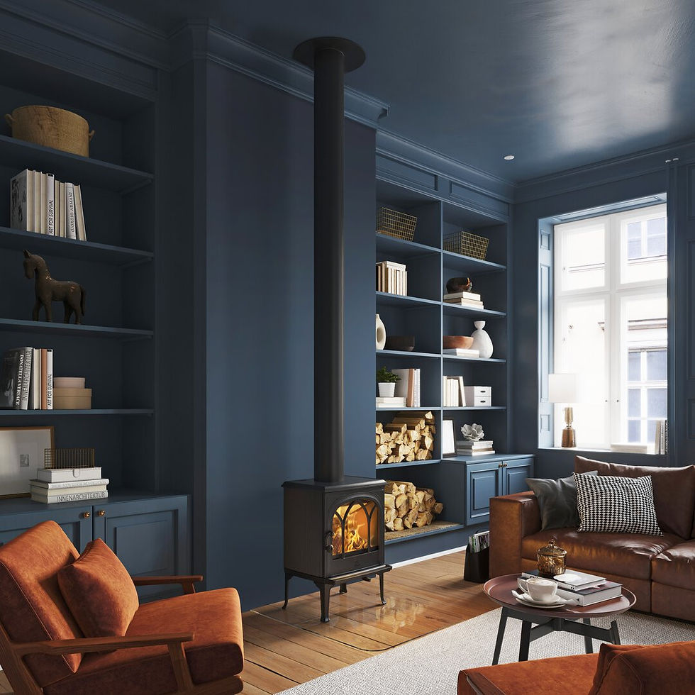 Jotul F200 Classic wood burning stove in a blue living room