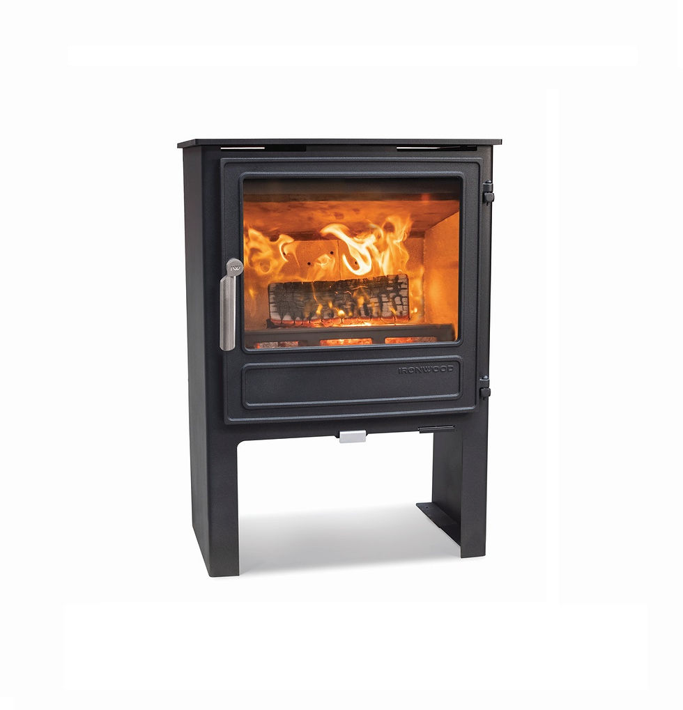Ironwood Thaw Tall 5kw Eco design Woodburning Stove with fire