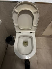 Dirty toilet bowl