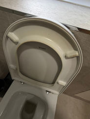 Toilet with raised seat and lid