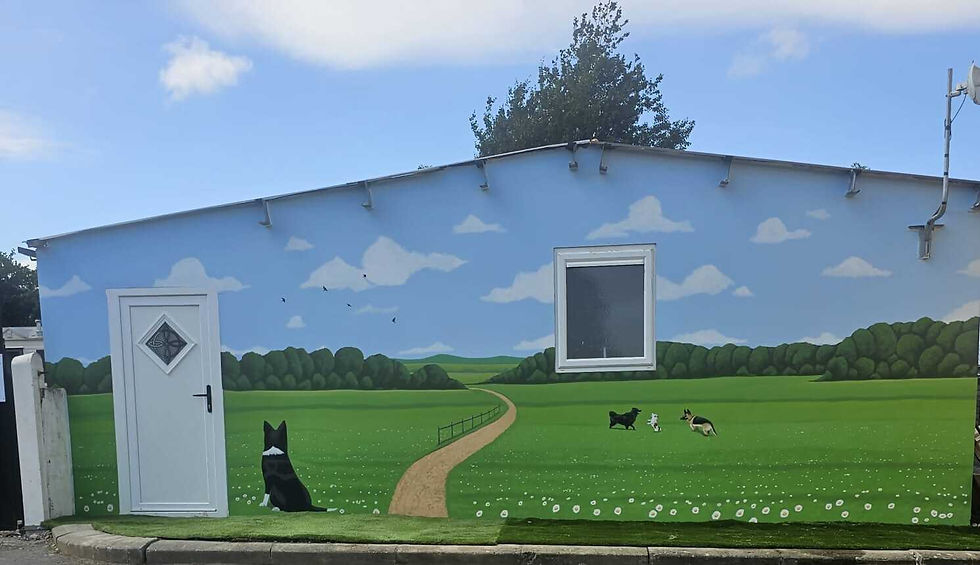 dog boarding at Tullyrusk