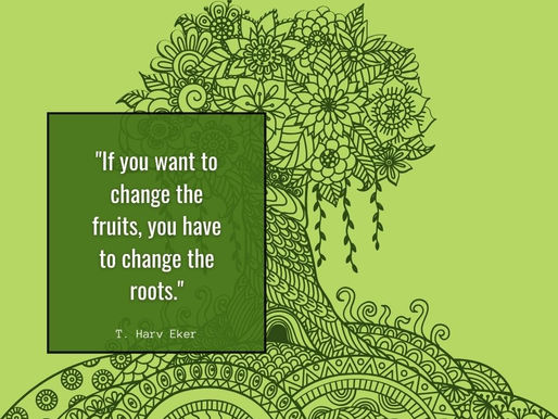 Daily Reflection - Cultivating Change from the Ground Up