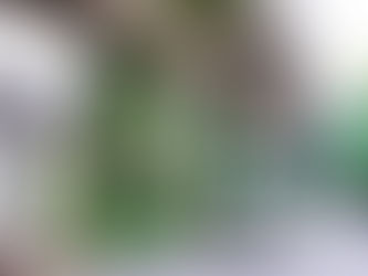 Metro verde y hasta la calle 100: Columnas del metro de Bogotá no serán un orinal, serán jardines colgantes con pantallas publicitarias