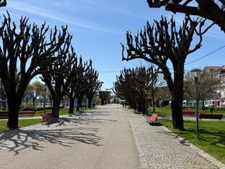 Part 2 Camino