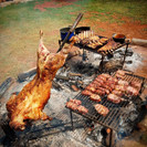 Patagonian Lamb Cross