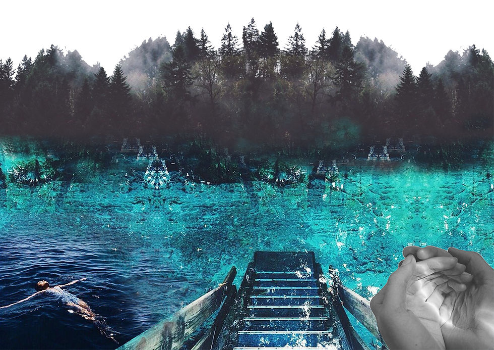 LANDSCAPE.jpg
