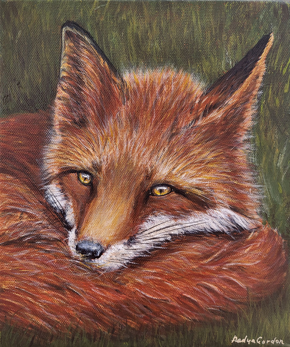 Thumbnail: Amber Eyes – Fox Original Acrylic Painting, Wildlife Wall Art, Red Fox  Painting
