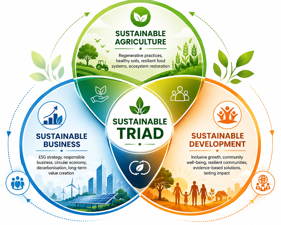 Sustainable triad concept.png