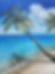 Tropical Beach 