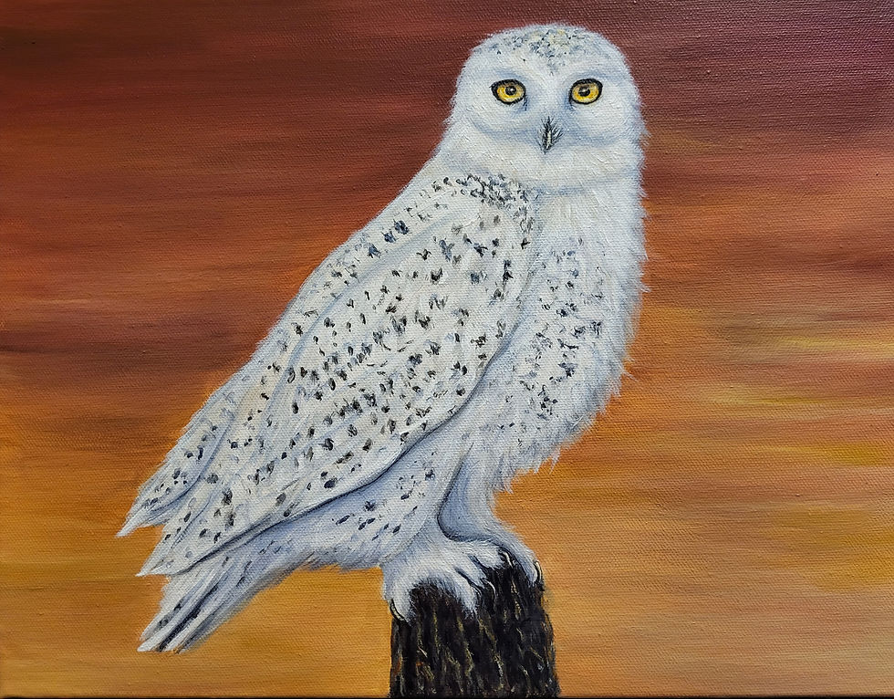 Thumbnail: Snowy Owl at Sunset Painting 