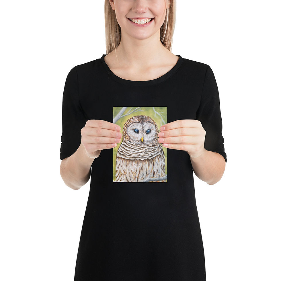 Thumbnail: Owl Fine Art Print Poster