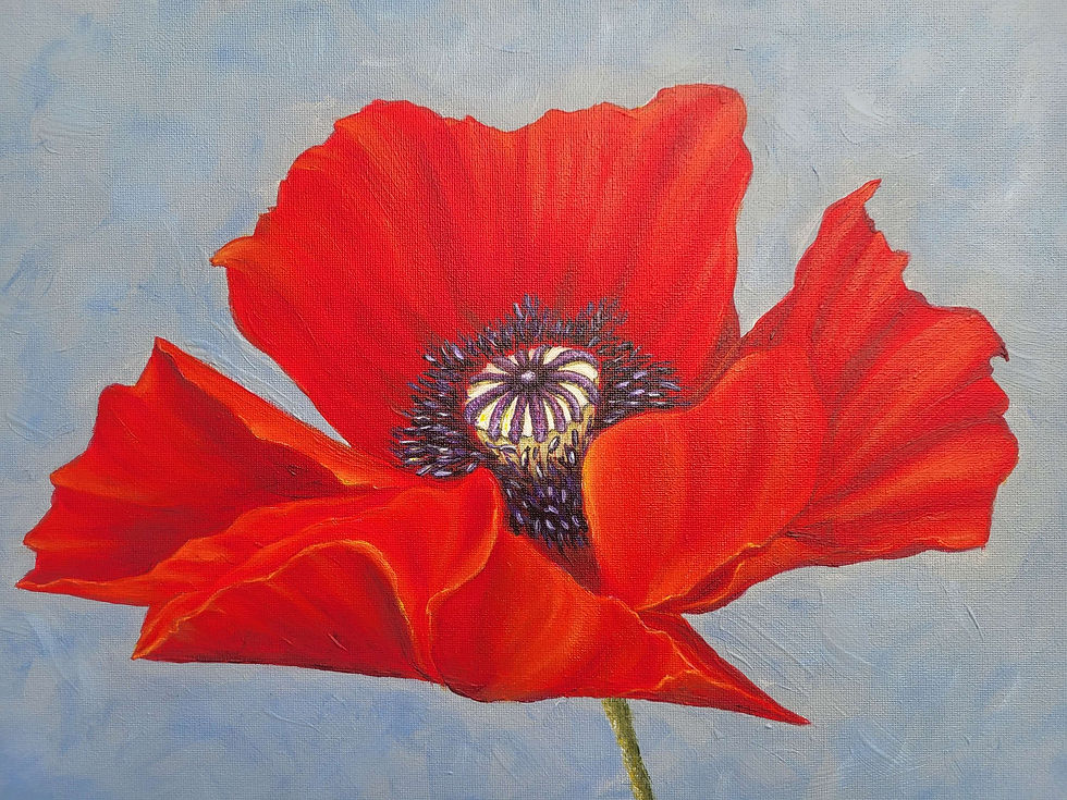 Thumbnail: Red Poppy Flower Painting on Stretched Canvas 